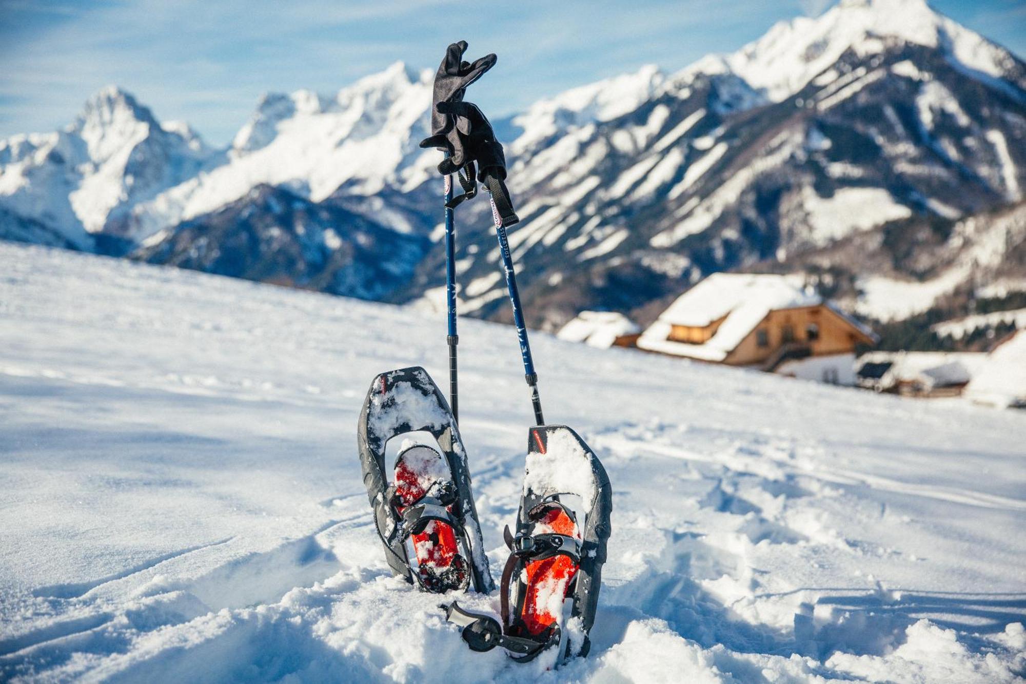 Almresort Baumschlagerberg Vorderstoder ภายนอก รูปภาพ