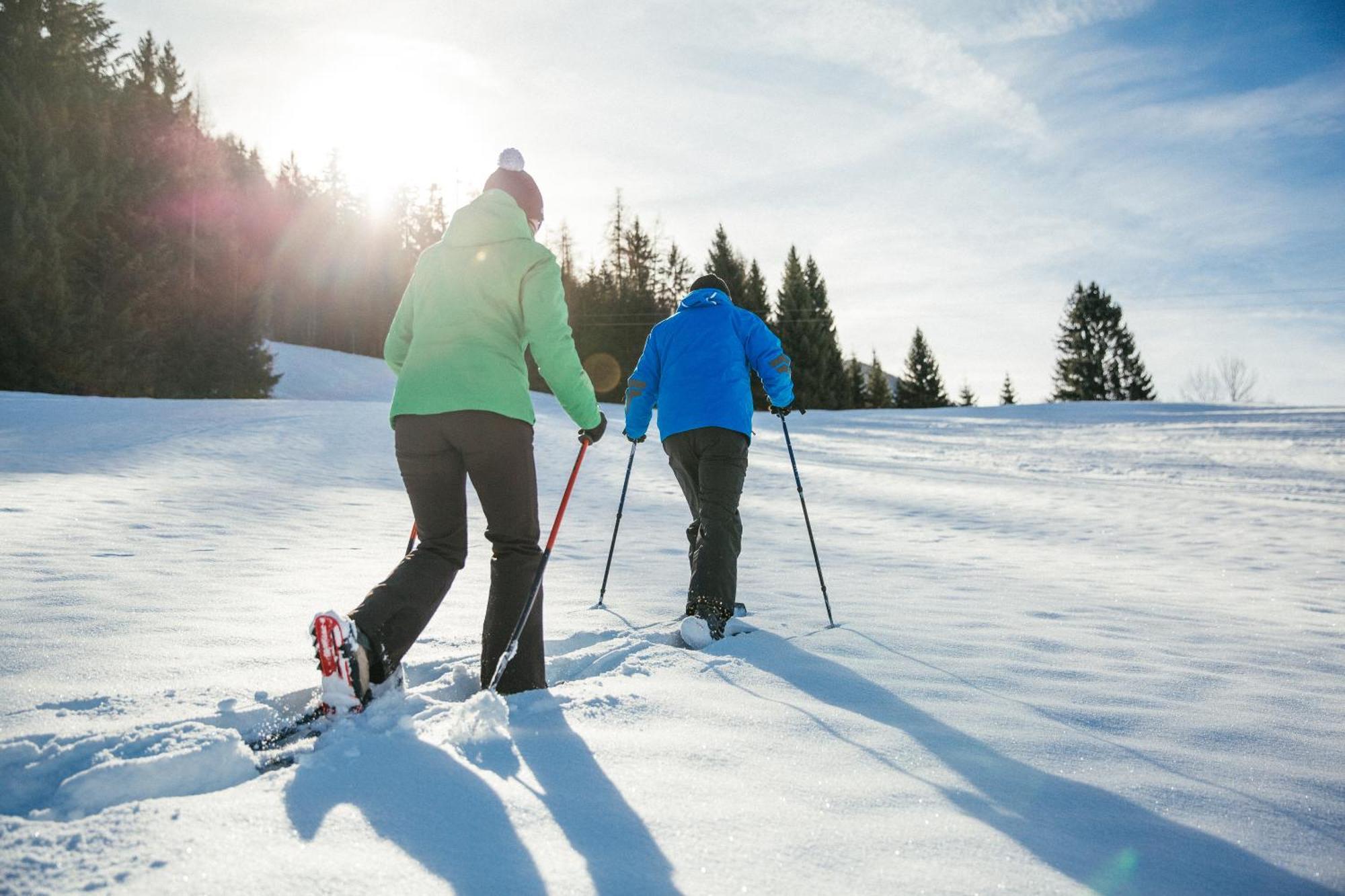 Almresort Baumschlagerberg Vorderstoder ภายนอก รูปภาพ
