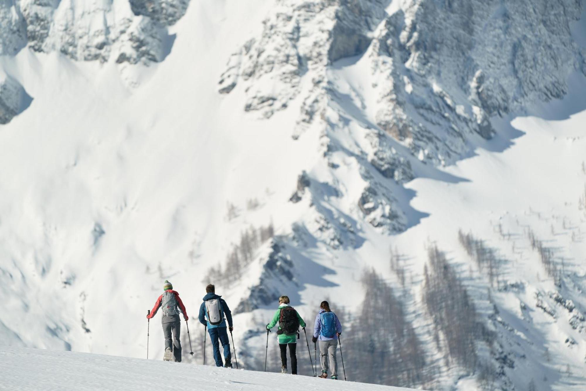 Almresort Baumschlagerberg Vorderstoder ภายนอก รูปภาพ