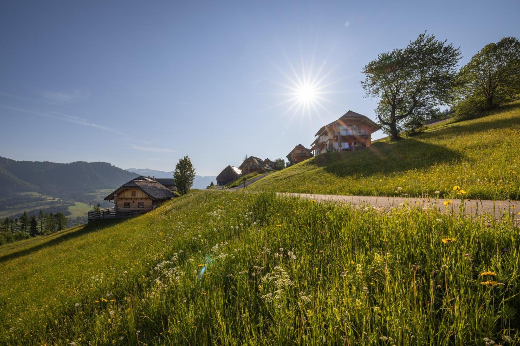 Almresort Baumschlagerberg Vorderstoder ภายนอก รูปภาพ